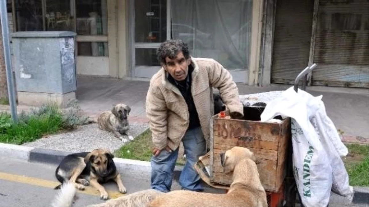 Manisa\'da Zor Kazandığı Ekmeğini Köpekleriyle Paylaşıyor