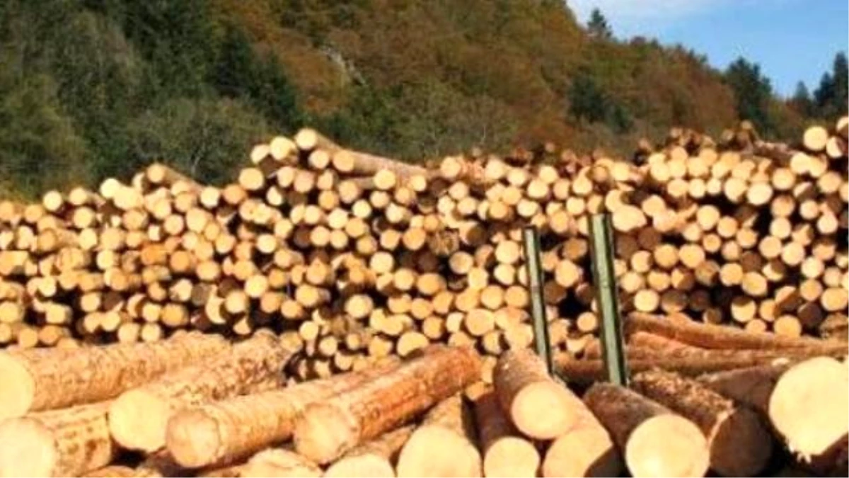 Batı Akdeniz\'de Ağaç ve Orman Ürünleri İhracatı 100 Milyon Doları Aştı