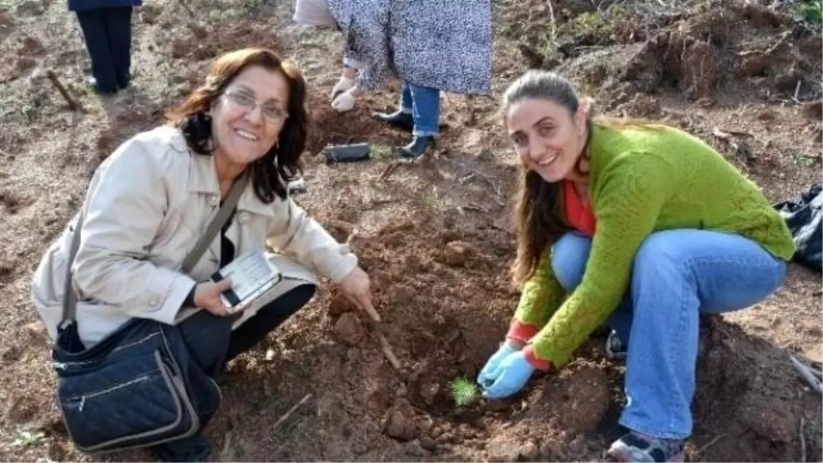 Busmek Kursiyerleri Fidan Dikti