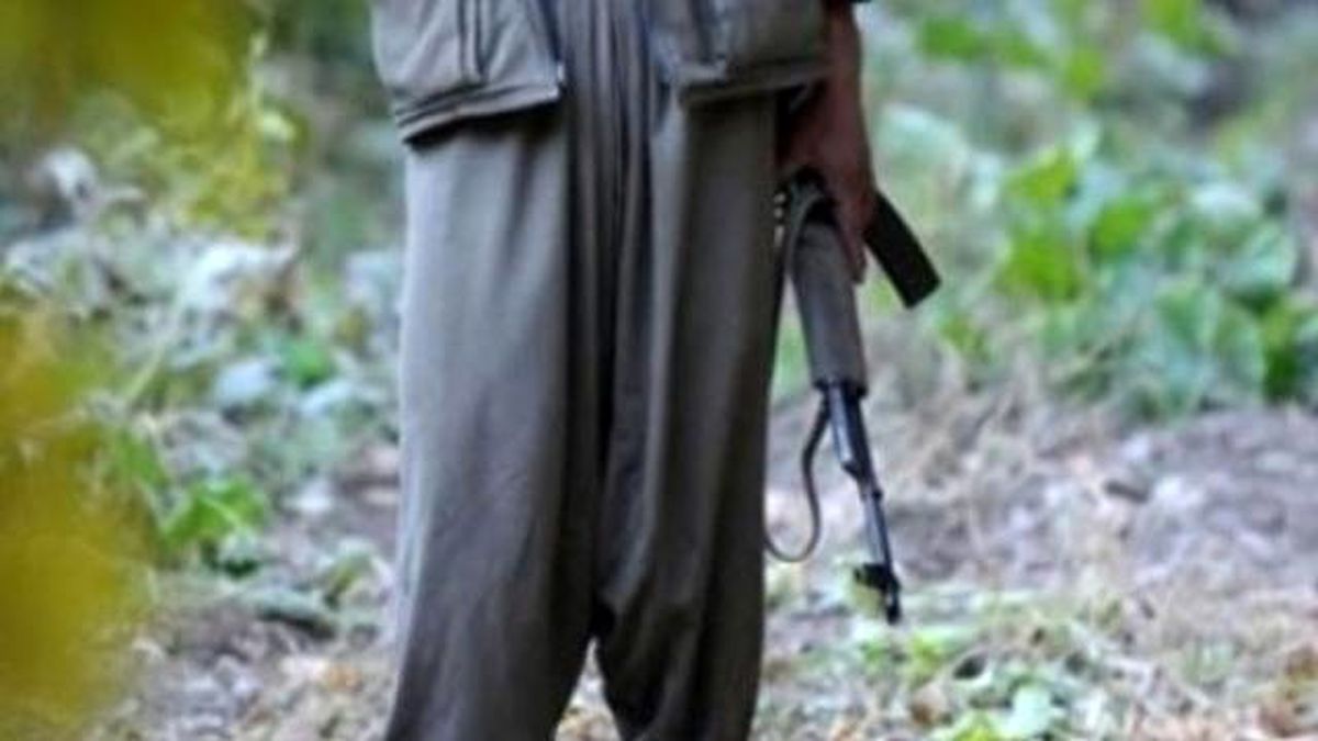 Şırnak\'ta 1 PKK\'lı Teslim Oldu
