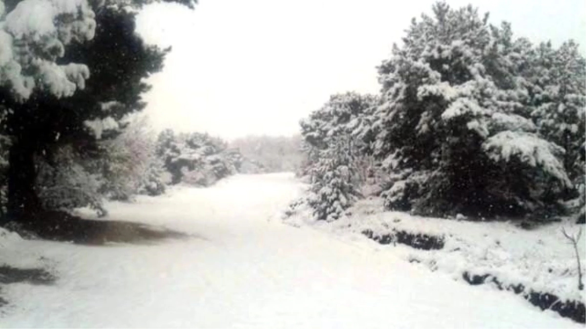 Tokat\'ta Kar Yağışı