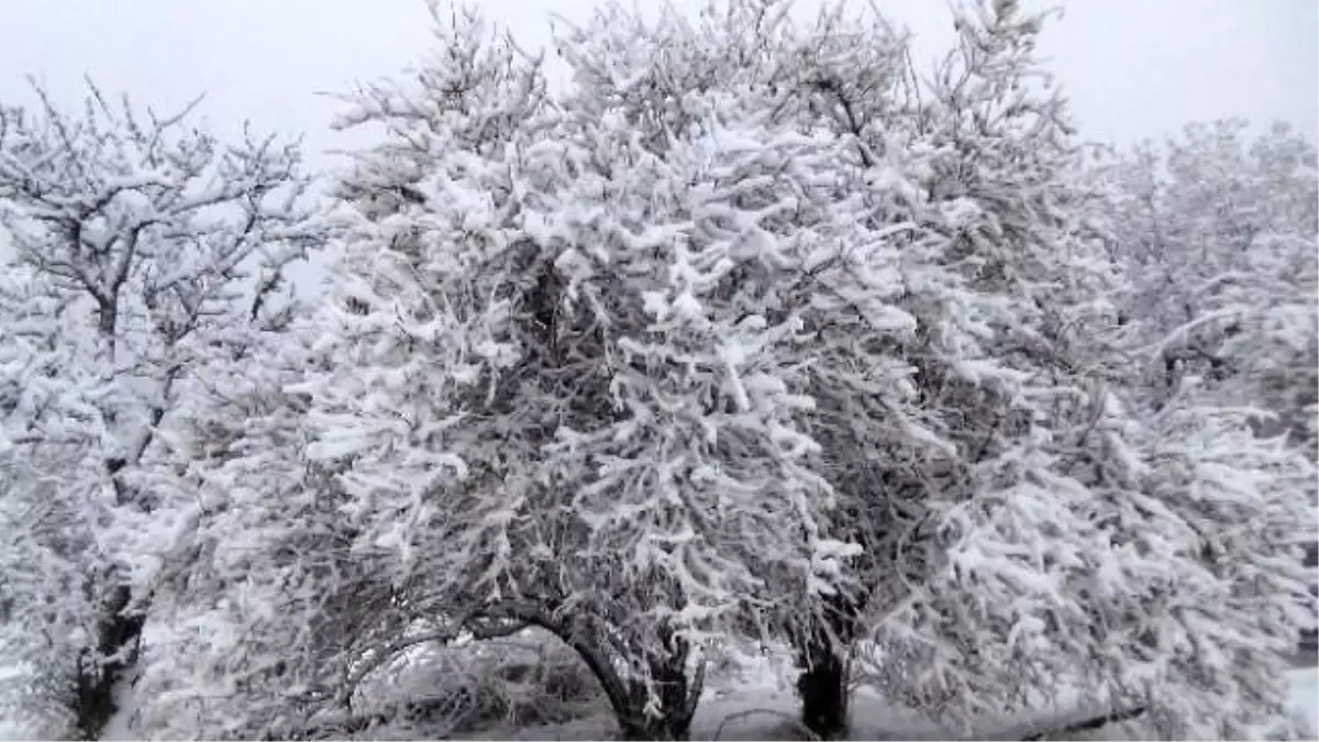 Yozgat\'a Mevsimin İlk Karı Yağdı