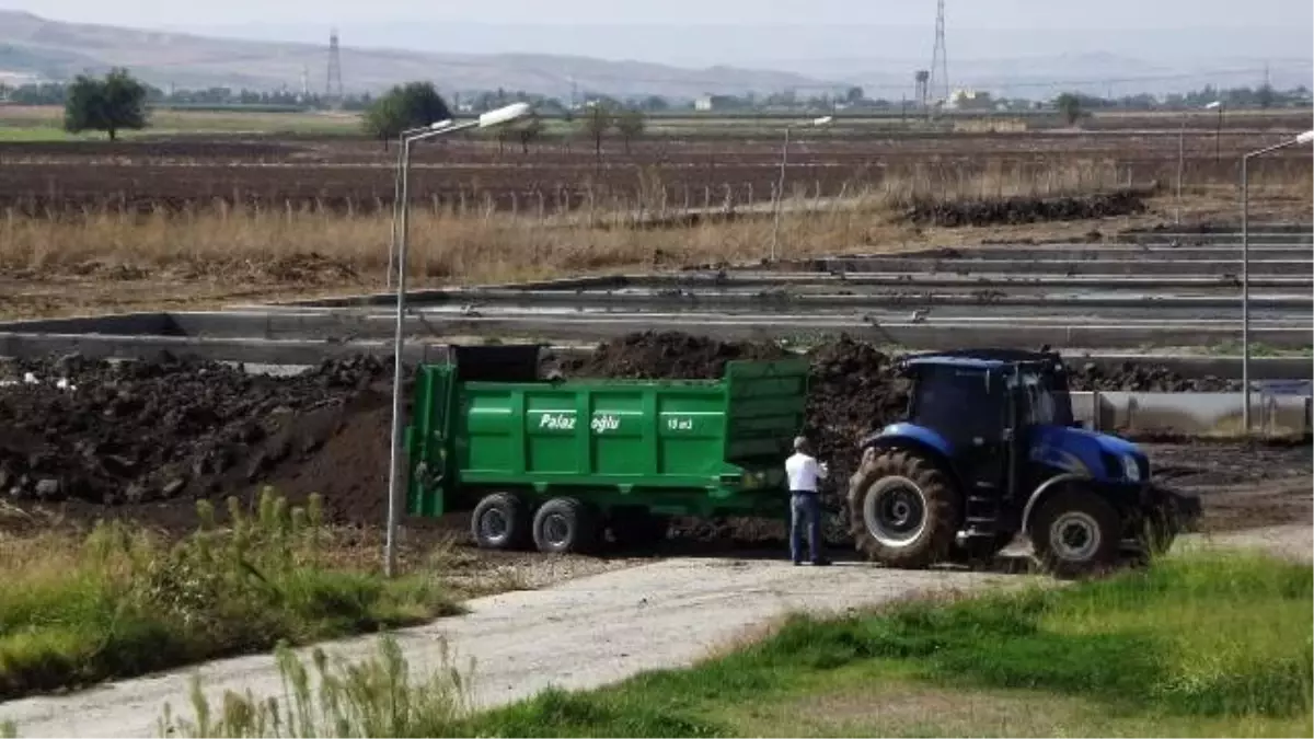 Batmanlıların Dışkısından 2400 Ton Gübre Elde Edilecek