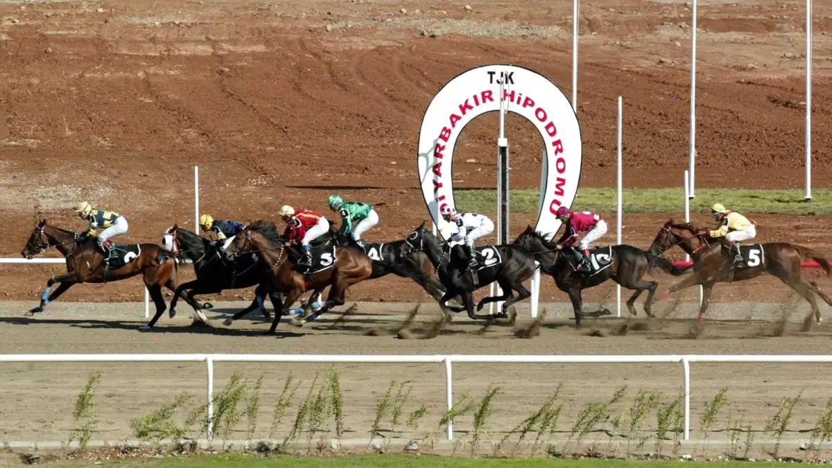 Altılı Ganyan Şanlıurfa Koşusu 14 Bin Lira Verdi