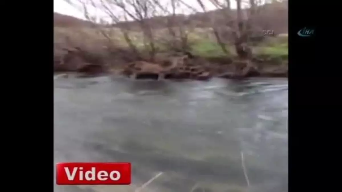 Bir Avcı Vurdu, Bir Avcı Kurtarmaya Çalıştı