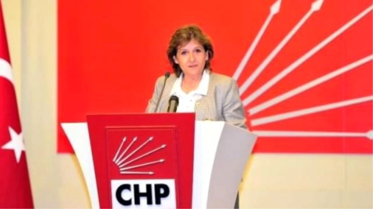 CHP\'li Birgül Ayman Güler MİT\'e Mektup Yazdı