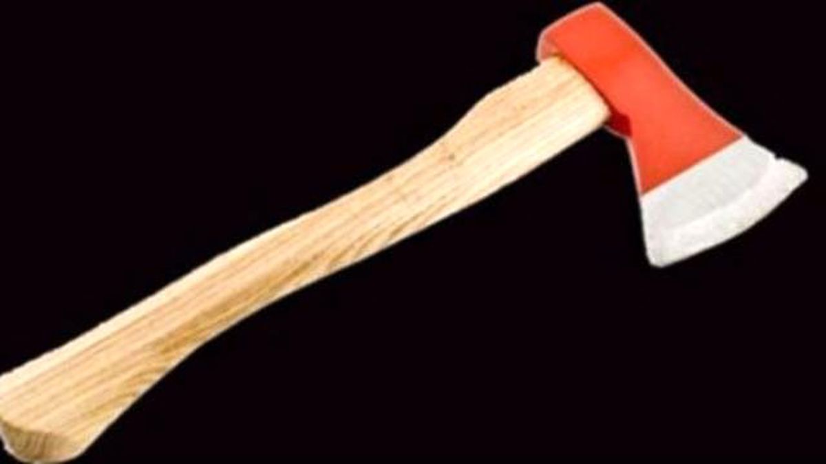 Özel) Baltalı Cinayette Ayrıntılar Ortaya Çıktı