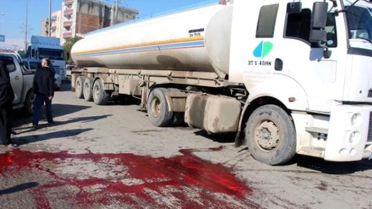 Silopi\'de Belediye Zabıtası Başıboş İneği Caddede Kesti