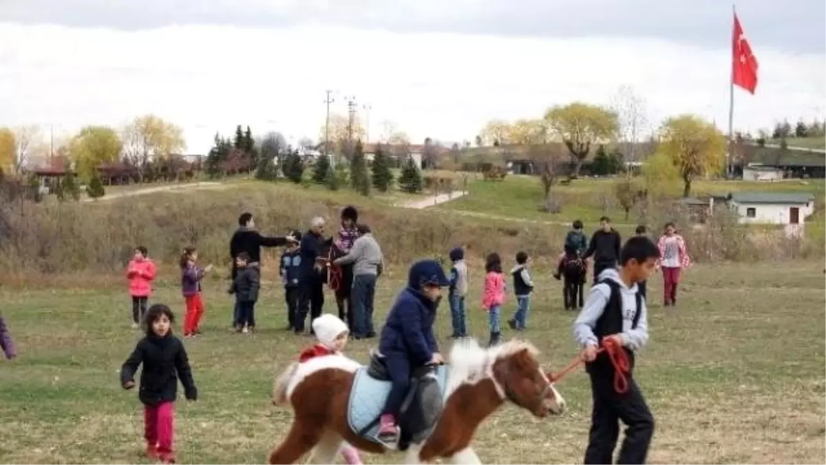 Çocukların Pony Sevgisi