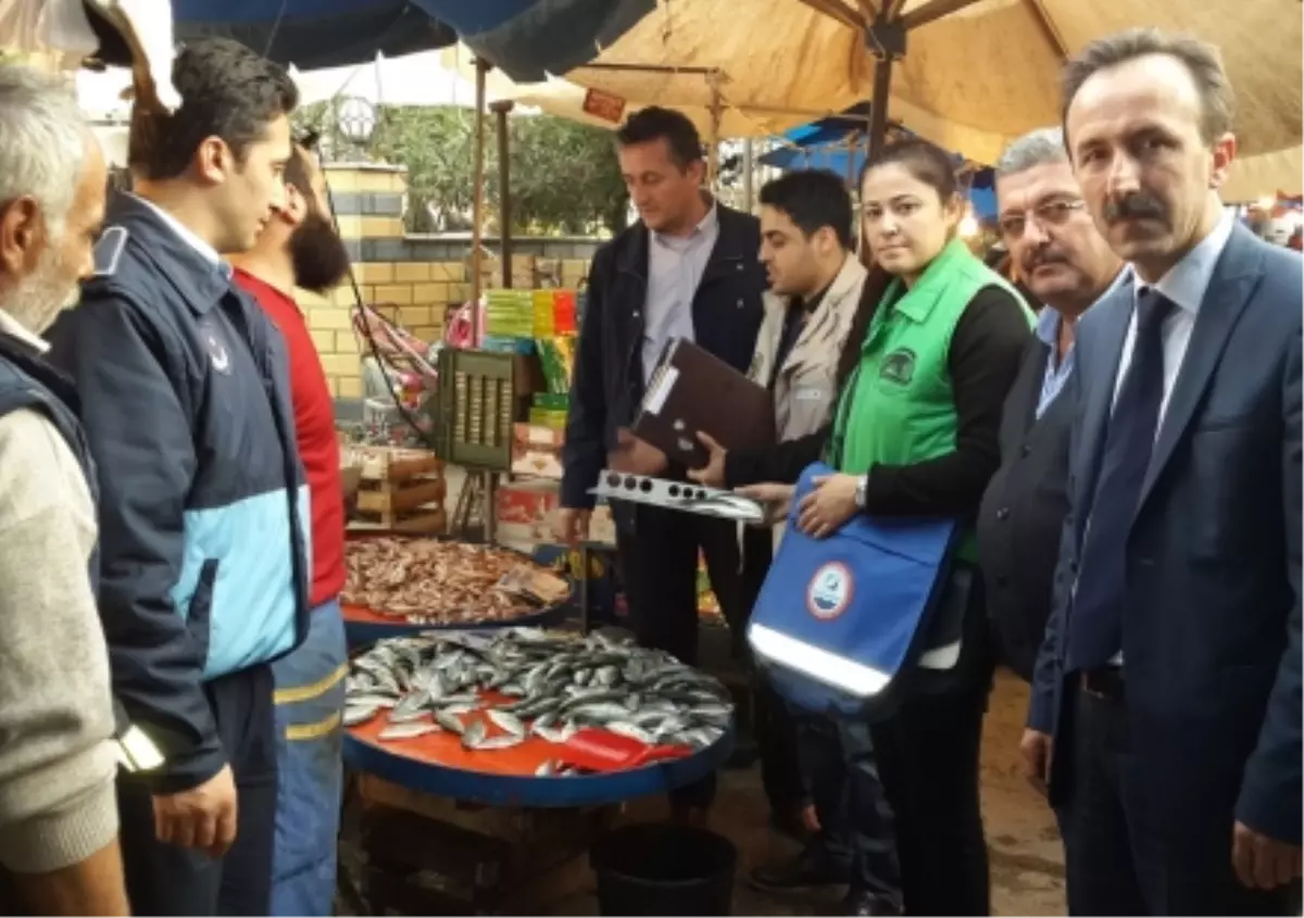 Erenler\'de Balık Tezgahları Denetlendi