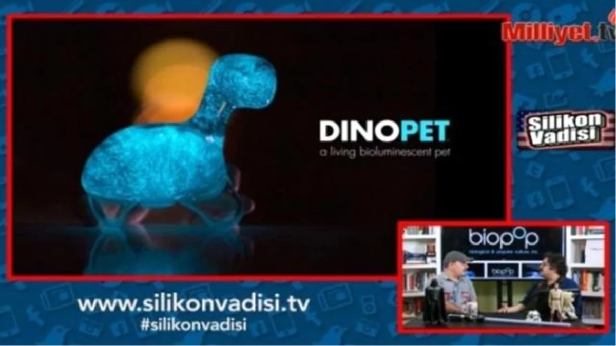 Silikon Vadisi Canlı Ev Hayvanı Dinopet İncelemesi