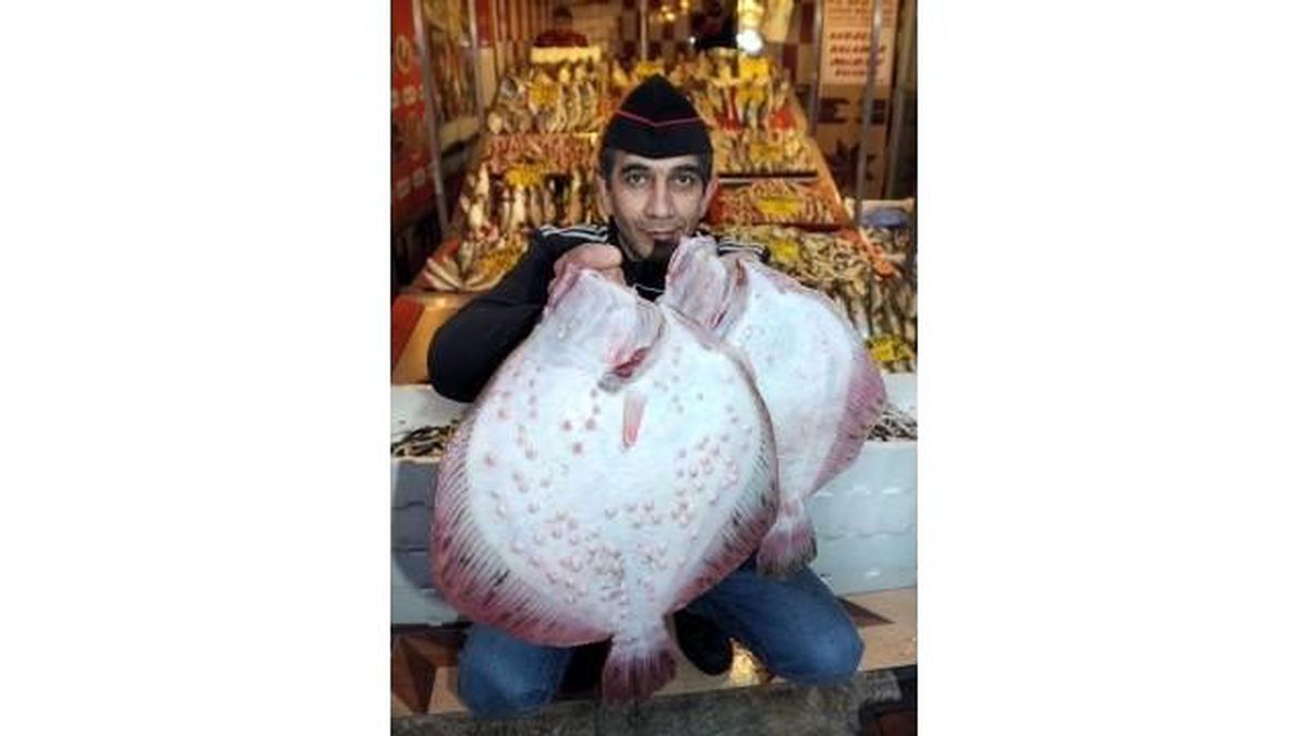 100 Bin Kalkan Yavrusunu Denize Bırakıyorlar