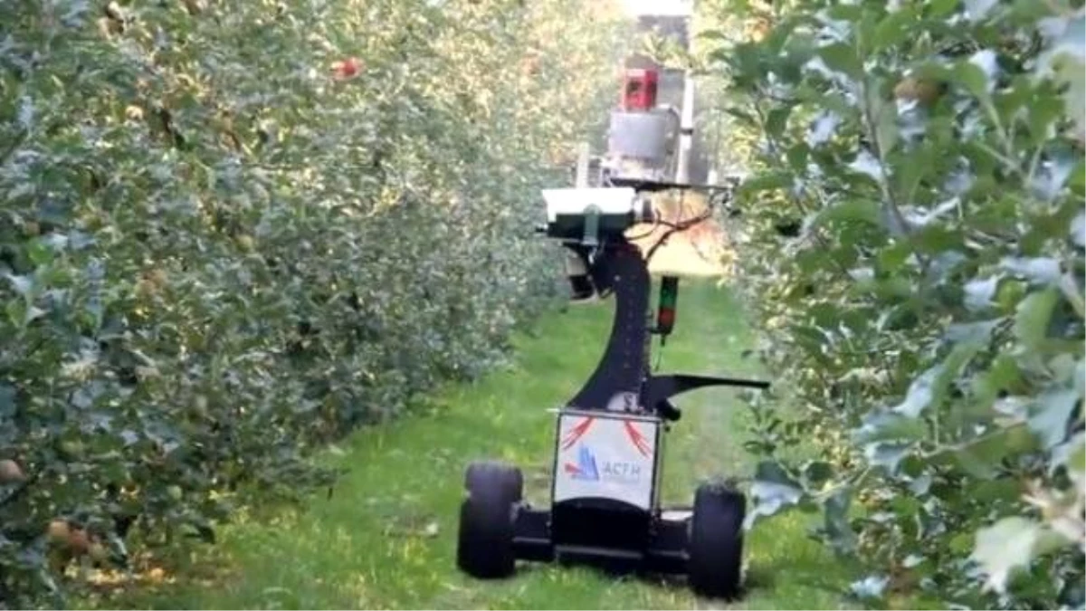 Avustralya Tarlalarında Elmayı Robot Yardımcılar Topluyor