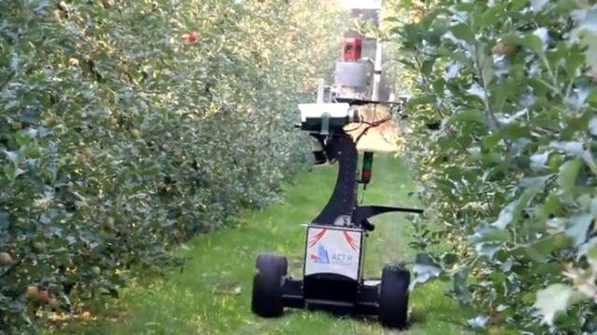 Avustralya Tarlalarında Elmayı Robot Yardımcılar Topluyor