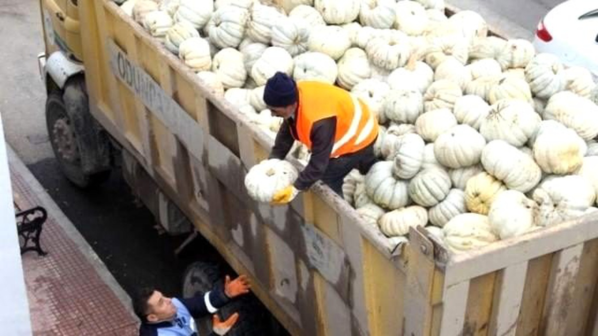 Belediye Aşevi\'ne 14 Ton Balkabağı Bağışladı