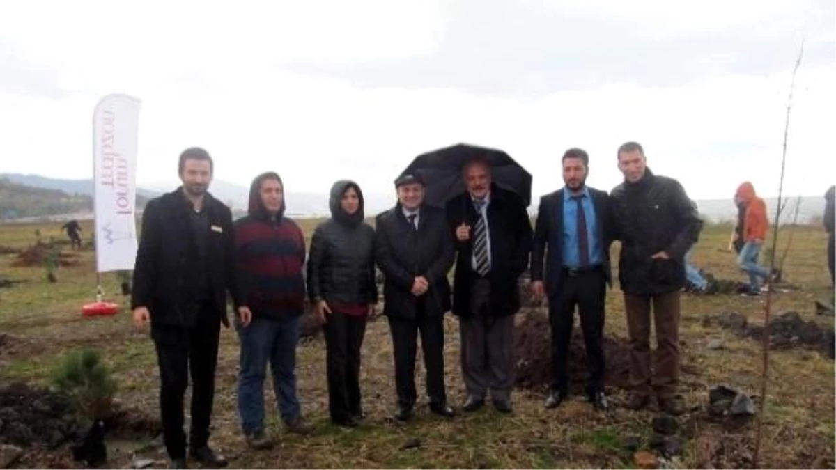 Forum Trabzon Hatıra Ormanı İçin İlk Fidanlar Toprakla Buluştu