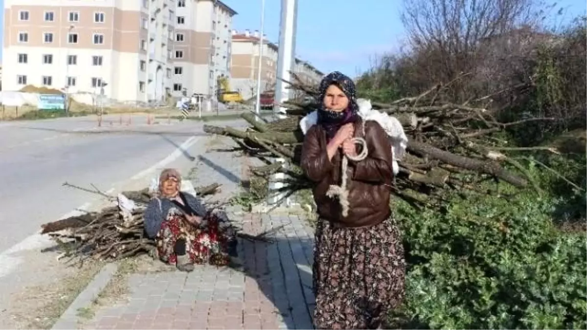 Her Şey Isınmanın Hayali İçin