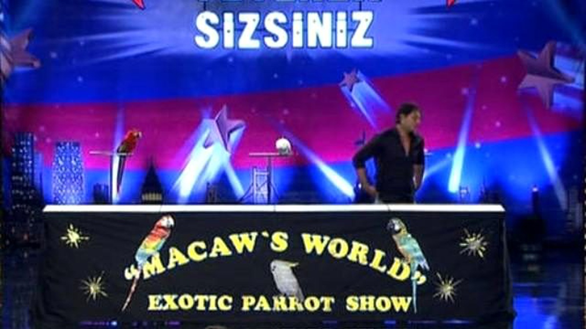 Kaloyan Yavashev ve Papağan Gösterisi