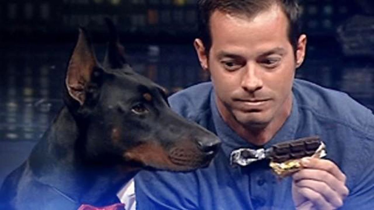 Köpeklerden Ne Çektin Be Alp!