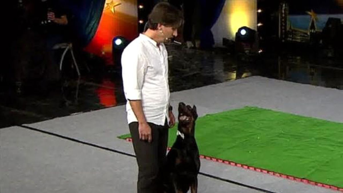 Mate ve Savaş\'ın İkinci Tur Performansı