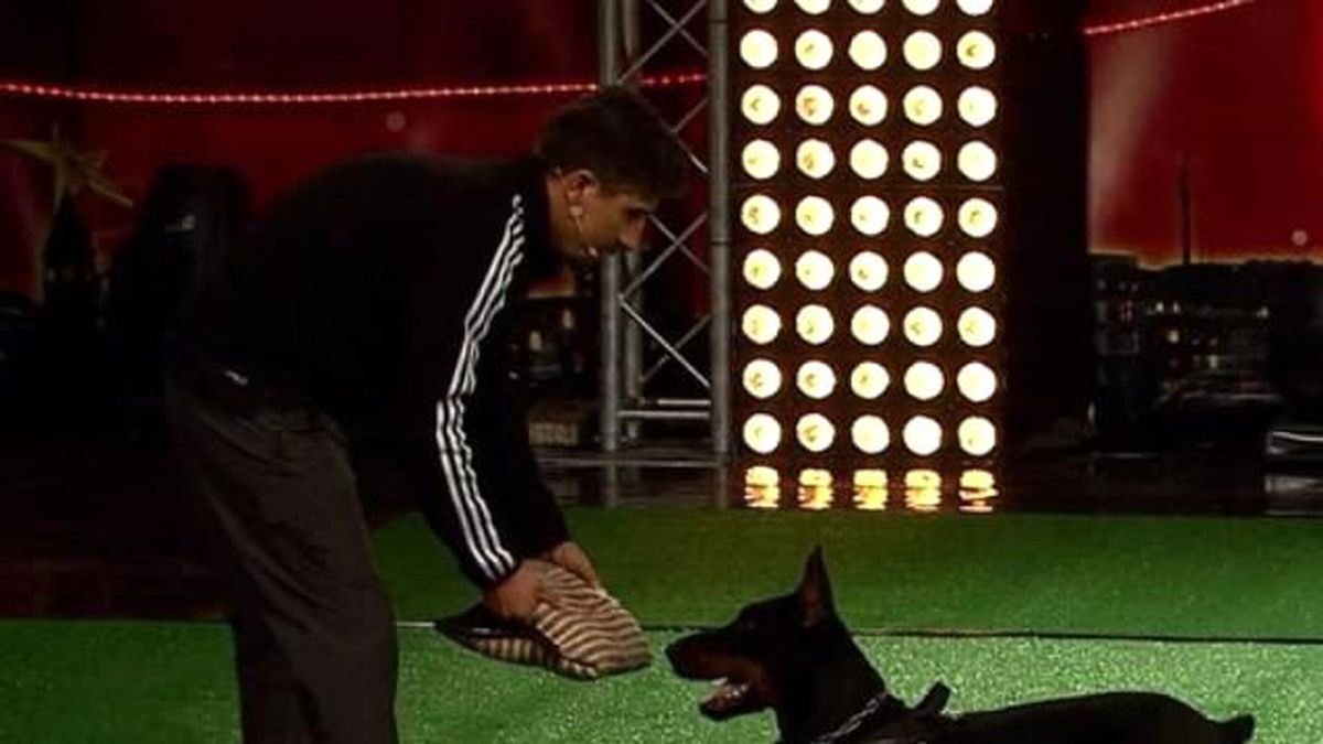 Mate ve Savaş\'ın Yarı Final Performansı
