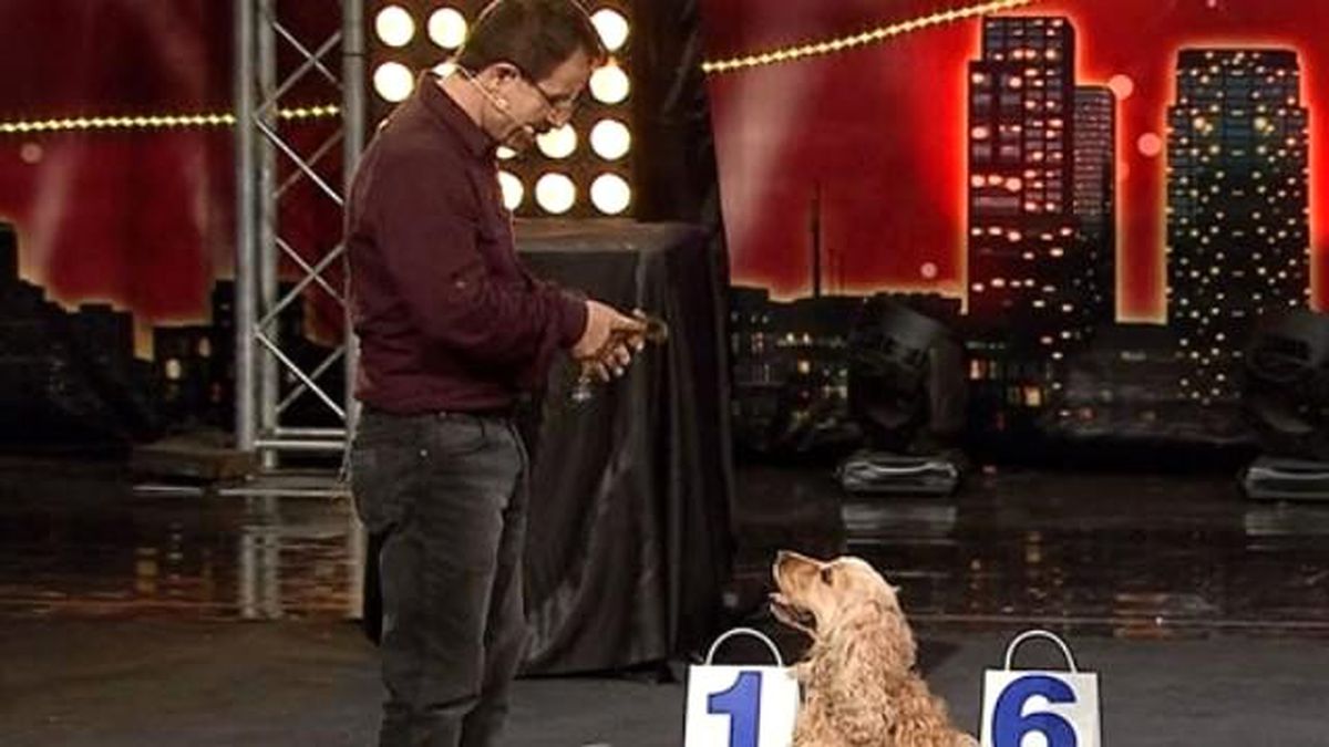 Paşa ve Vedat\'ın Yarı Final Performansı