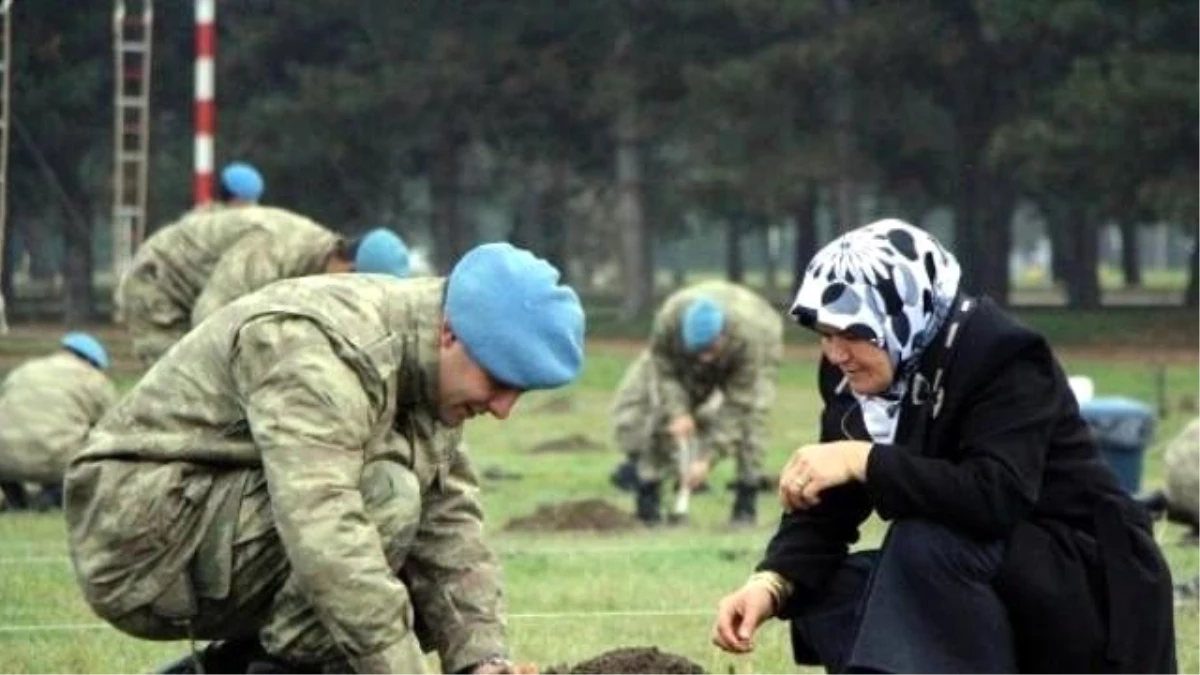 Şehit Aileleri ve Gaziler Komandolarla Fidan Dikti