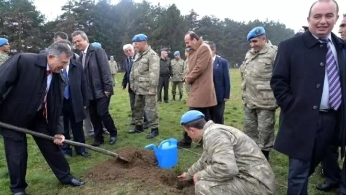 Şehit ve Gazi Yakınları Komandolar ile Fidan Dikti