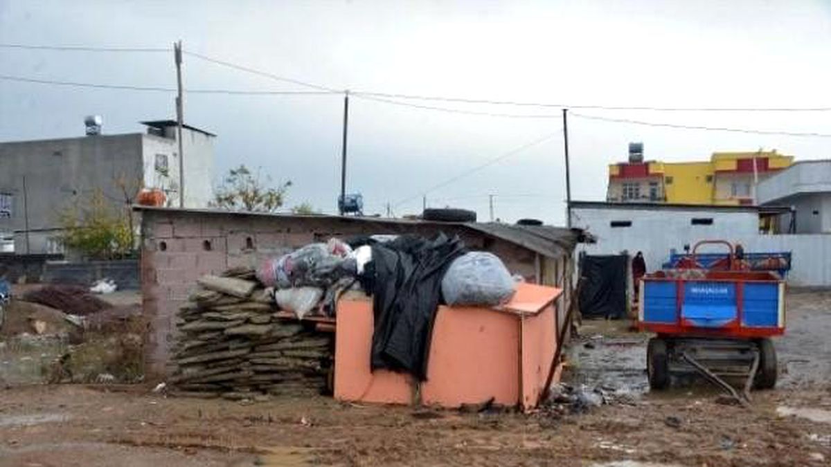 Üzerine Odun Devrilen Çocuğun Duran Kalbi Çalıştırıldı