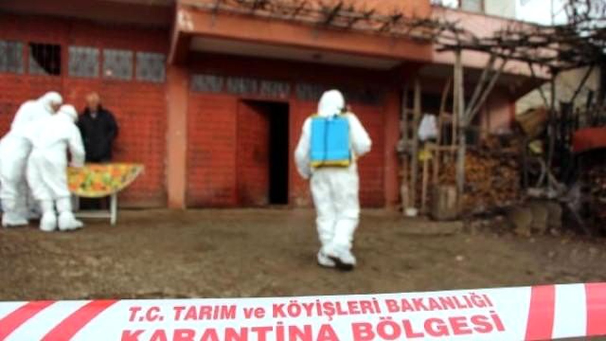 Bolu\'da Kuş Gribi Tatbikatı