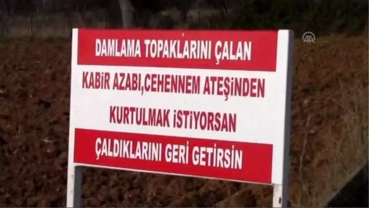 Çiftçiden Hırsıza Tabelalı Çağrı