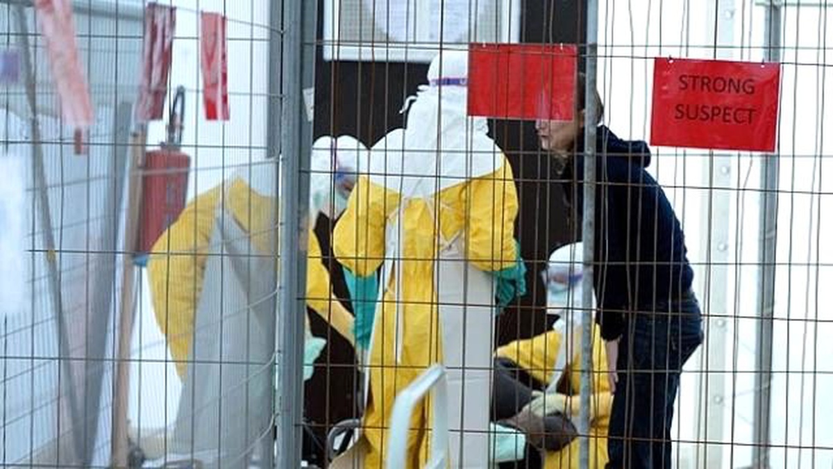 Ebola Aşısının Deneyleri Umut Verici