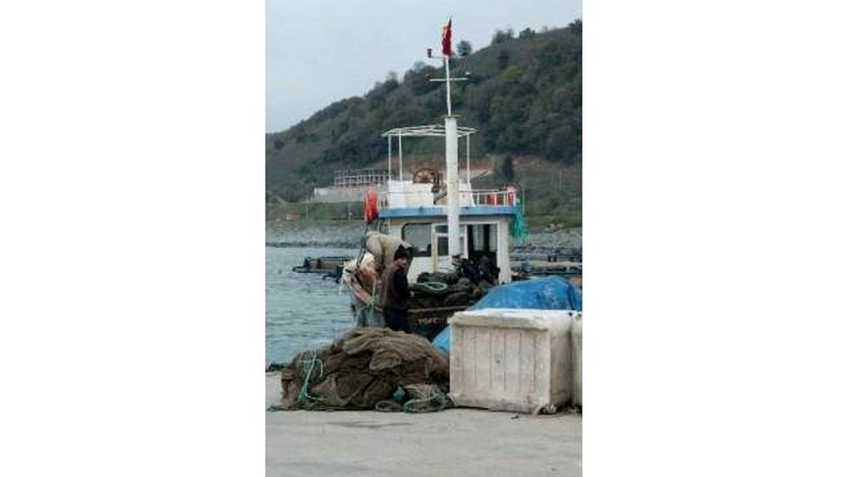 Hamsi Kültür Balıkçılığını Vurdu