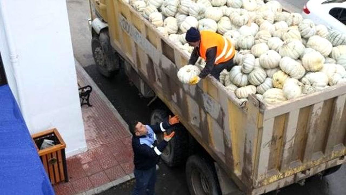 Hayırsever Muhtar, Aşevine 14 Ton Bal Kabağı Bağışladı