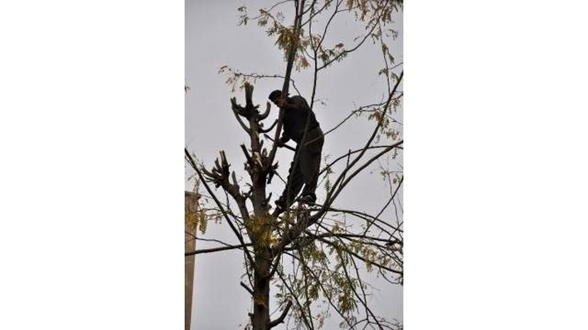 Ölümüne Ekmek Parası Kazanıyor
