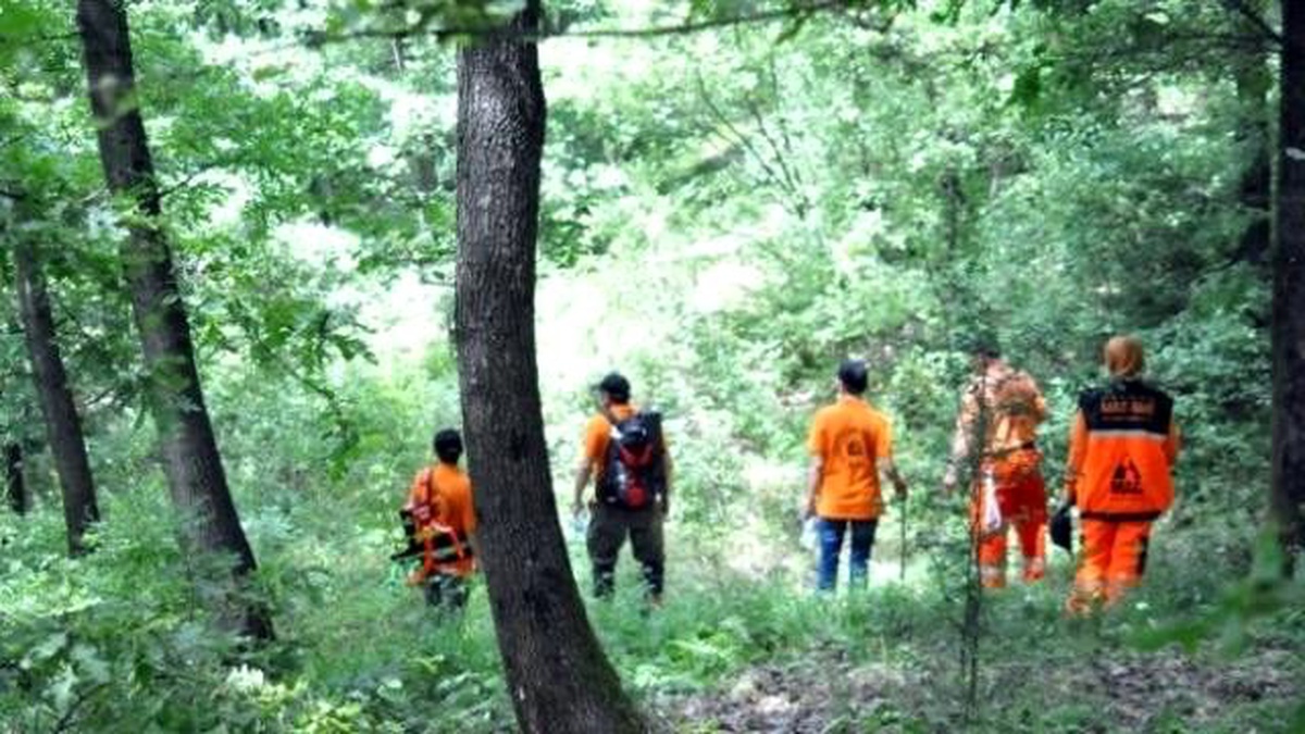 Ormana Mantar Toplamaya Giden Kadın Kayboldu