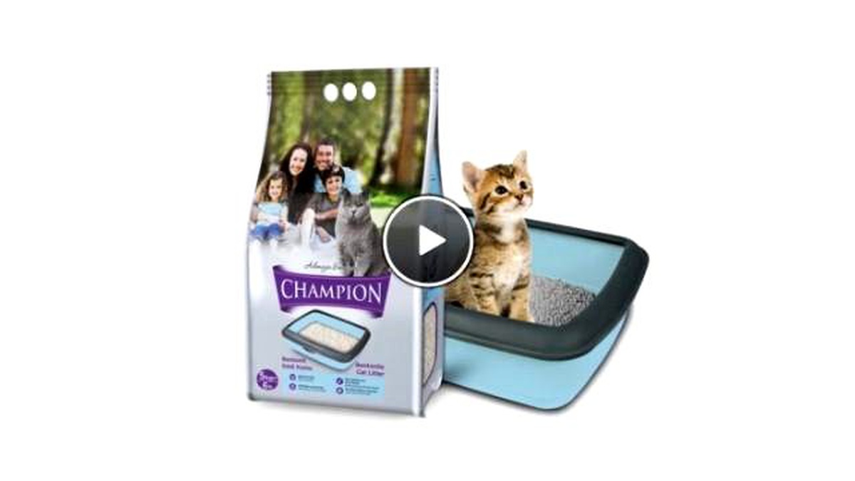 Pati Tahrişini Engellemek İçin Kedi Kumu Seçimine Dikkat