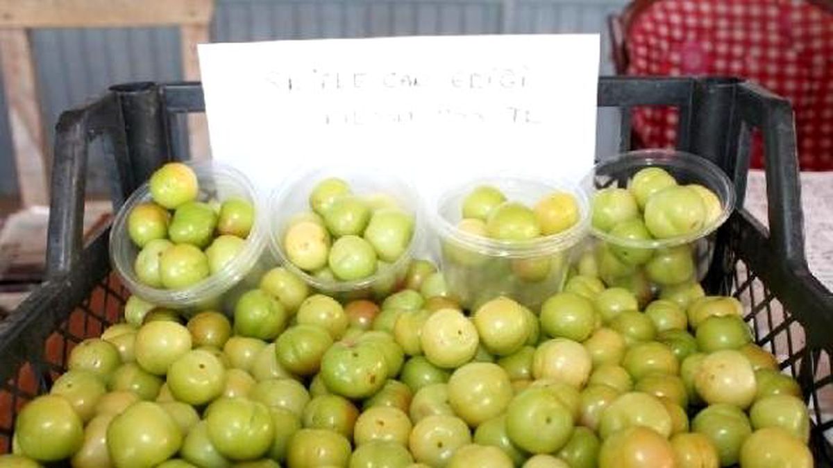 1 Kilo Erik 300 Lira