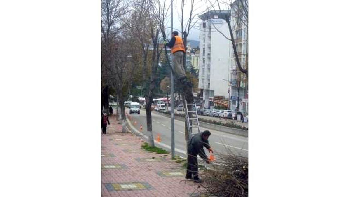 Bilecik Kışa Hazırlanıyor