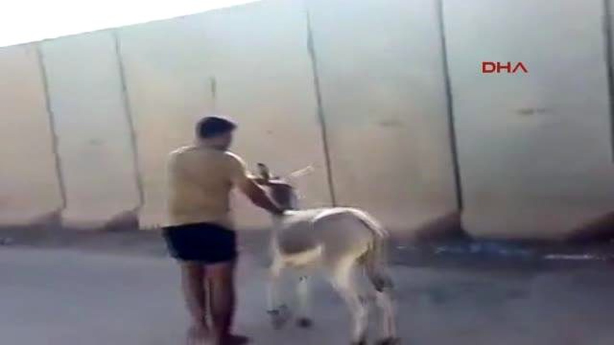 Iraklı Askerler Tarafından Yavru Eşeğe Yapılan İşkence Büyük Tepki Yarattı