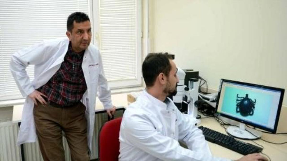 Keneleri Tuzağa Düşürecekler