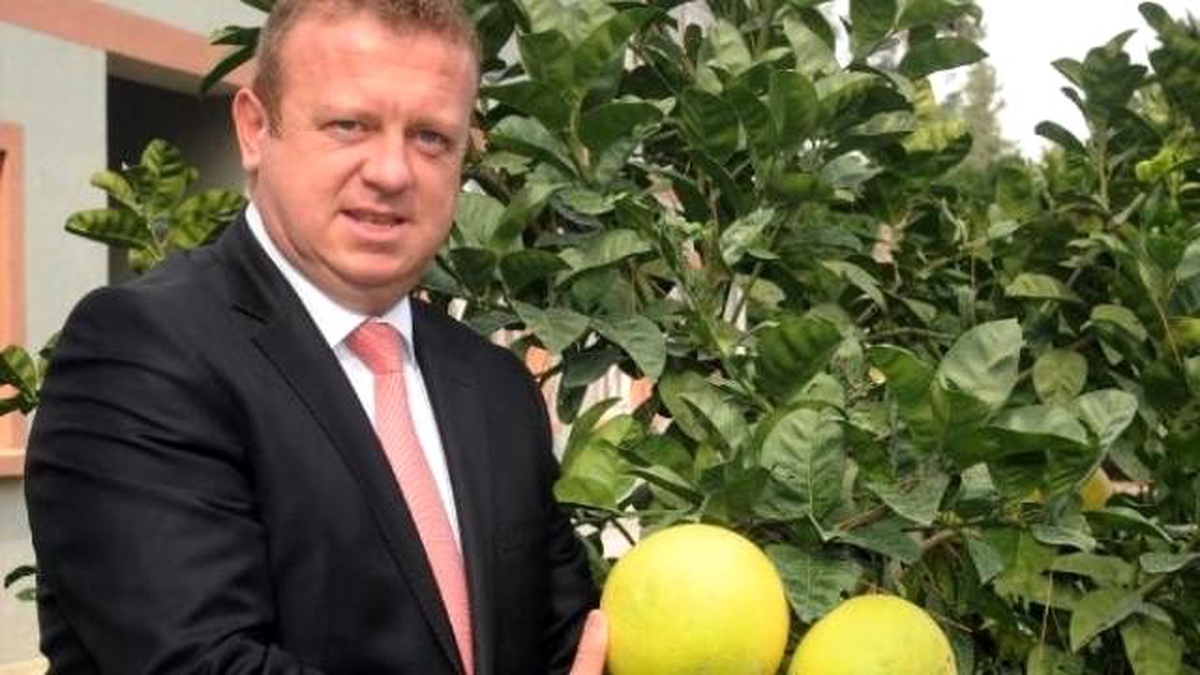 Turunçgillerin En Büyüğü Antalya\'da