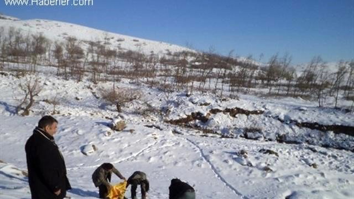 Sarıkamış\'ta Yaban Hayvanları İçin Doğaya Yem Bırakıldı