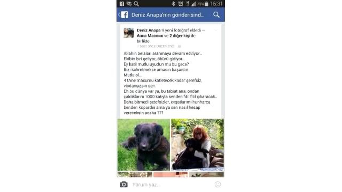 4 Köpeği Zehirlenen Turizmci Hastaneye Kaldırıldı (2)