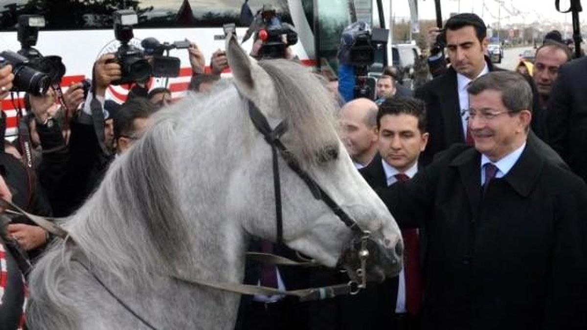 Davutoğlu\'nu Erzurum\'da Atlı Ciritçiler Karşıladı