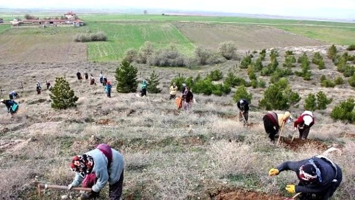 Emirdağ\'da 5 Fidan Toprakla Buluştu