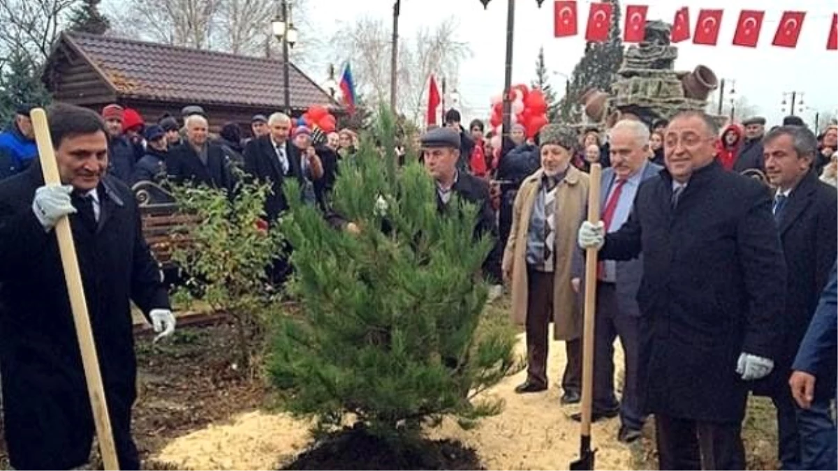 Belediye Başkanı Salman, Yalova\'da Ağaç Kesti, Dağıstan\'da Ağaç Dikti