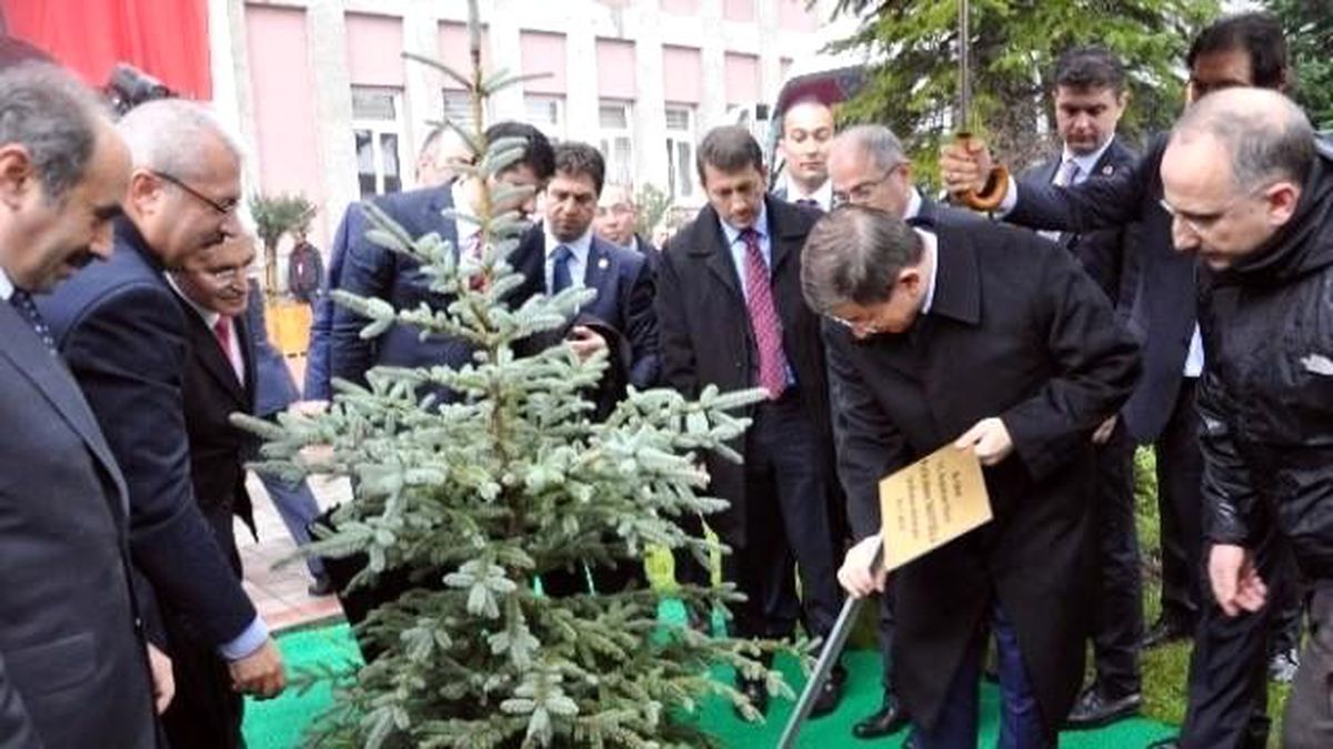Başbakan Davutoğlu Balıkesir\'de Ağaç Dikti
