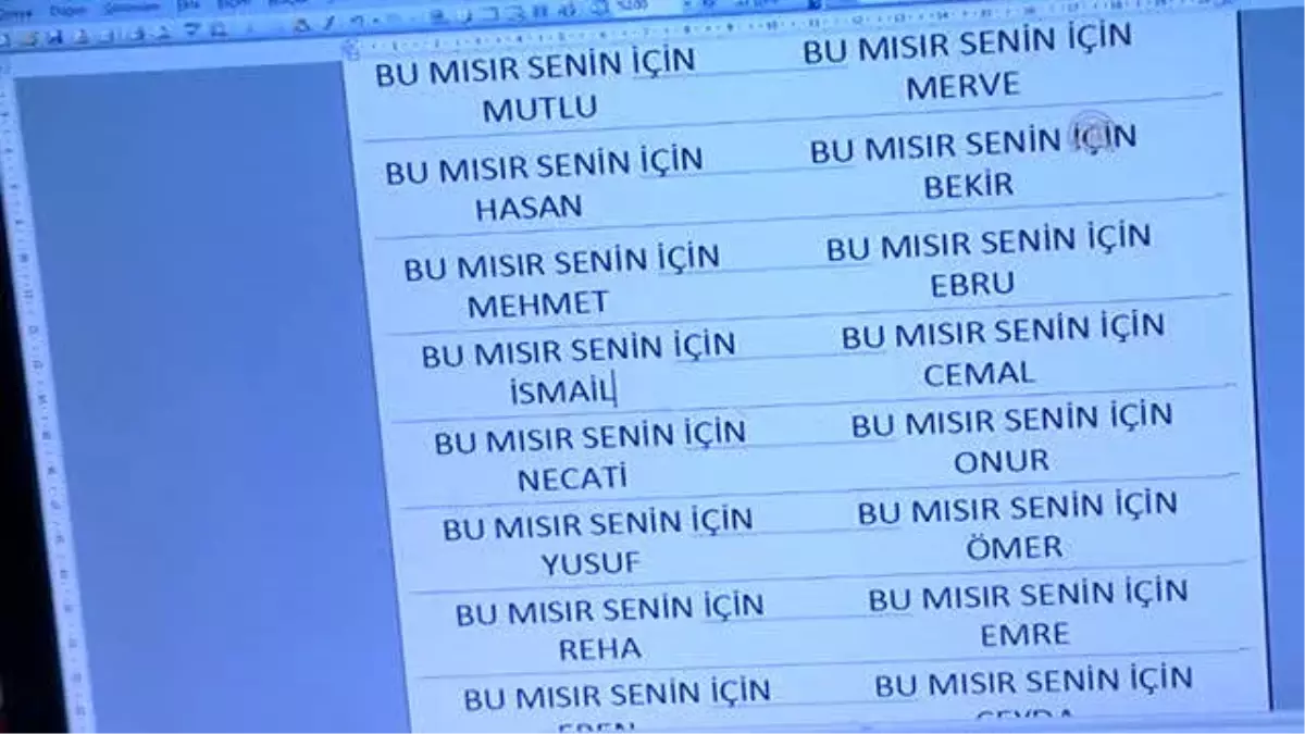 Bu Mısır Senin İçin Haydar