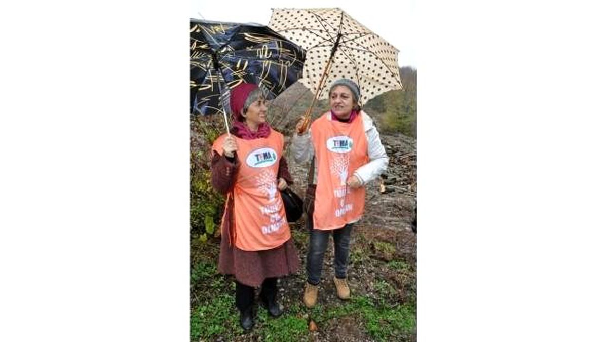Çevreciler, 43 Bin Ağacın Kesilmemesi İçin Eylem Yaptı